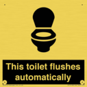 this-toilet-flushes-automatically~